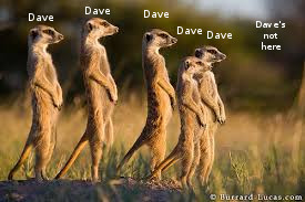 daves.jpg