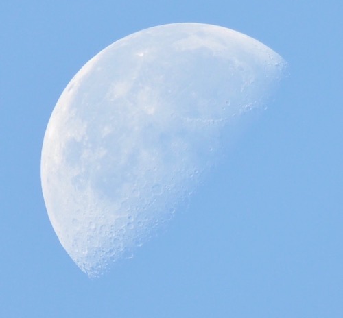 DSC_0623.jpg