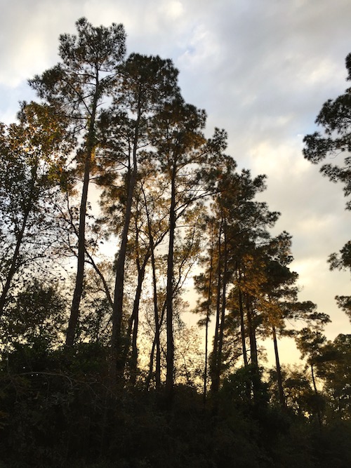Sunset.jpg