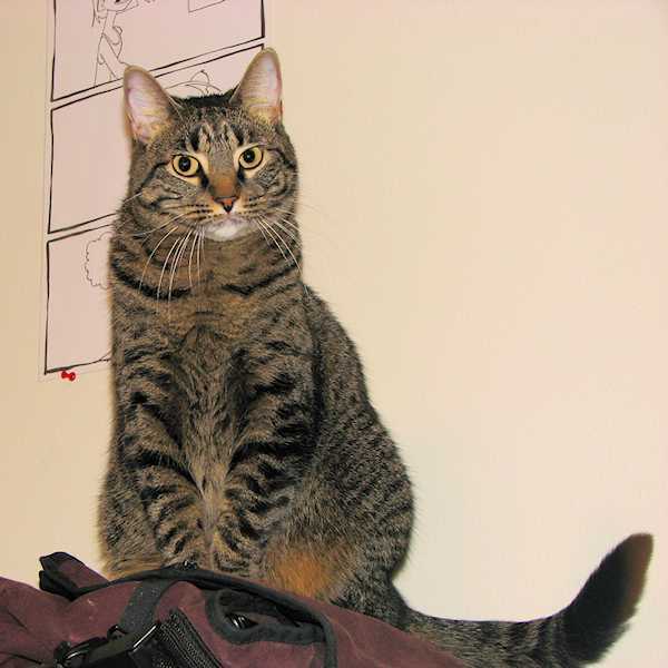 "Why, I never knew that!"