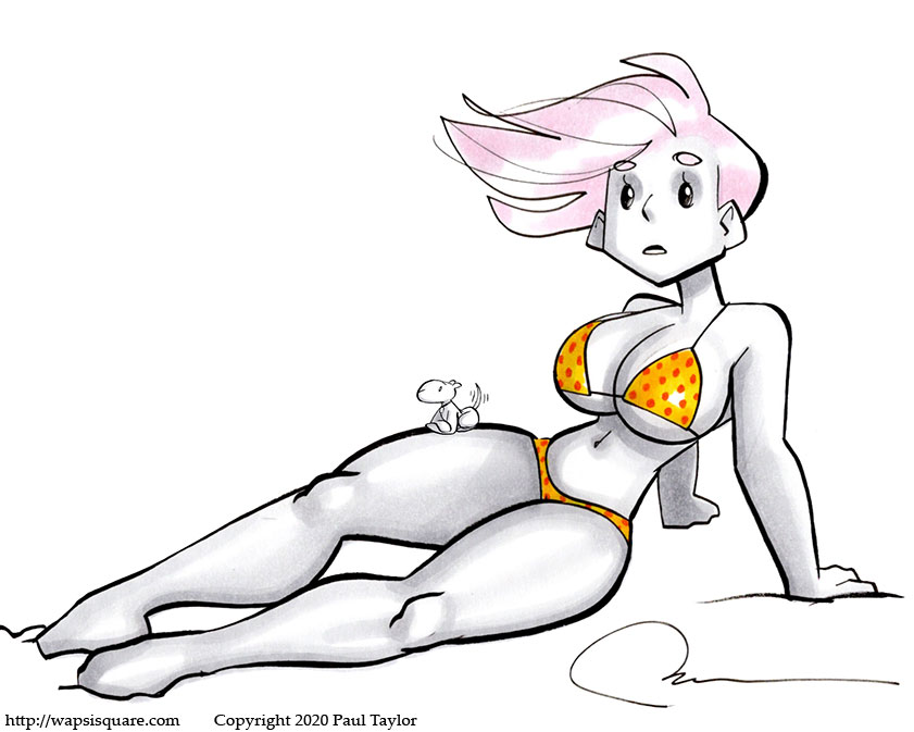 digit-bikini-test-drive.jpg