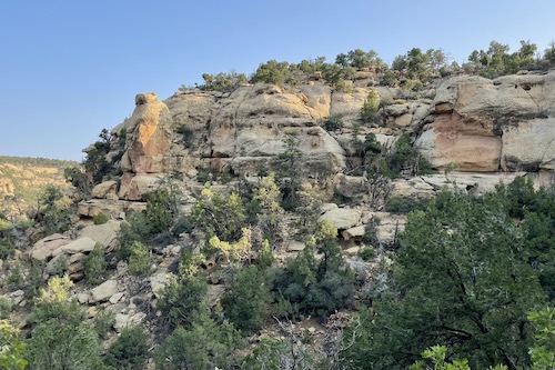 Petroglyph Trail - Steps.jpeg