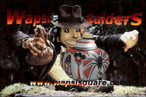 RaidersScaled.jpg