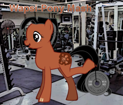 ShellyPonyGym1.png