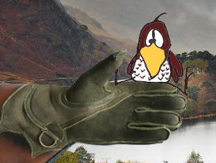 Dave Falcon.png