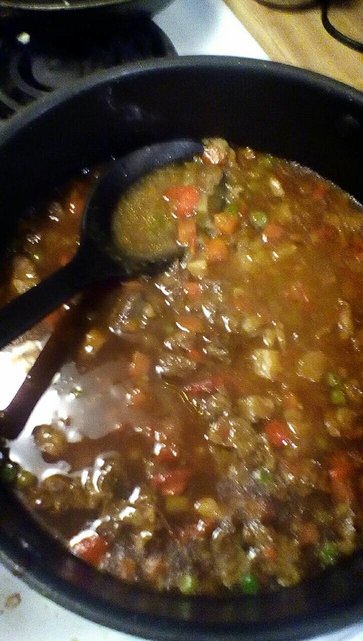 All day stew...soup...food was made!