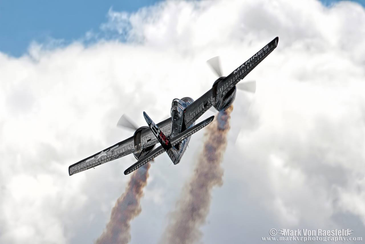 Tigercat.jpg
