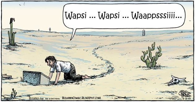 wapsi.jpg