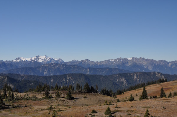 Hurricane Ridge Olympic Nat. Park 1.jpg