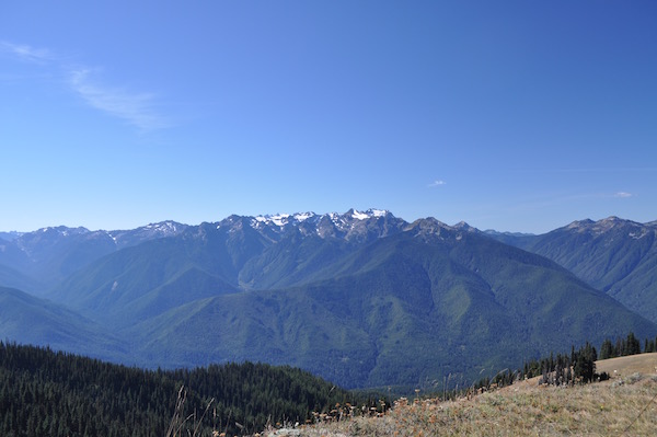 Hurricane Ridge 2.jpg