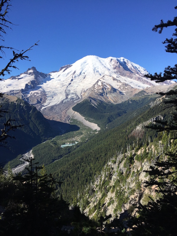 Mt Rainier 1.jpg