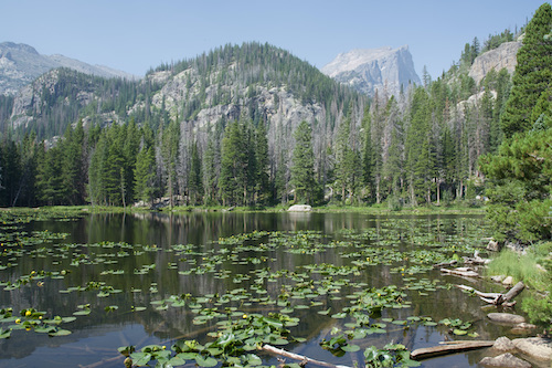 Bear Lake in Rocky Mtn. NP.jpeg