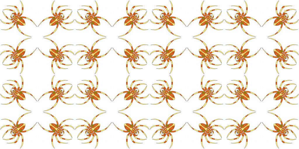 gardenspider-1024.jpg