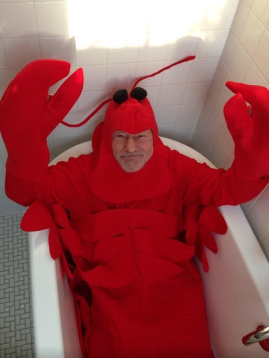funny-Patrick-Stewart-lobster-costume-Halloween.jpg