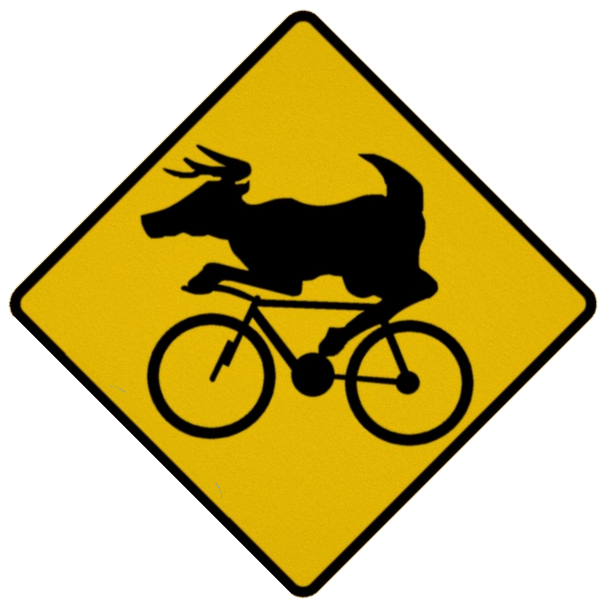 bike.png