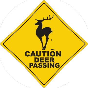pass.png