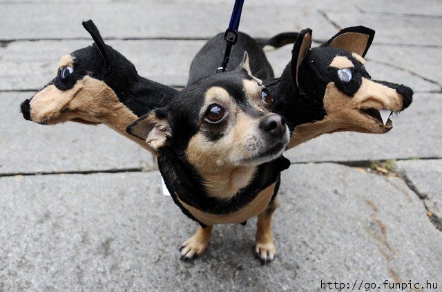 Cerberus.jpg